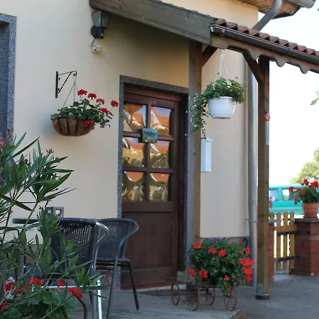 Appartement Luxurious In With Garden And Barbecue *